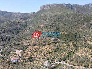 Αγροτεμάχια 5.500 τ.μ. για πώληση, Αρκαδία, Απόλλωνας-thumb-10