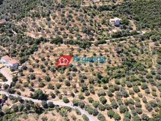 Αγροτεμάχια 5.500 τ.μ. για πώληση, Αρκαδία, Απόλλωνας-thumb-11