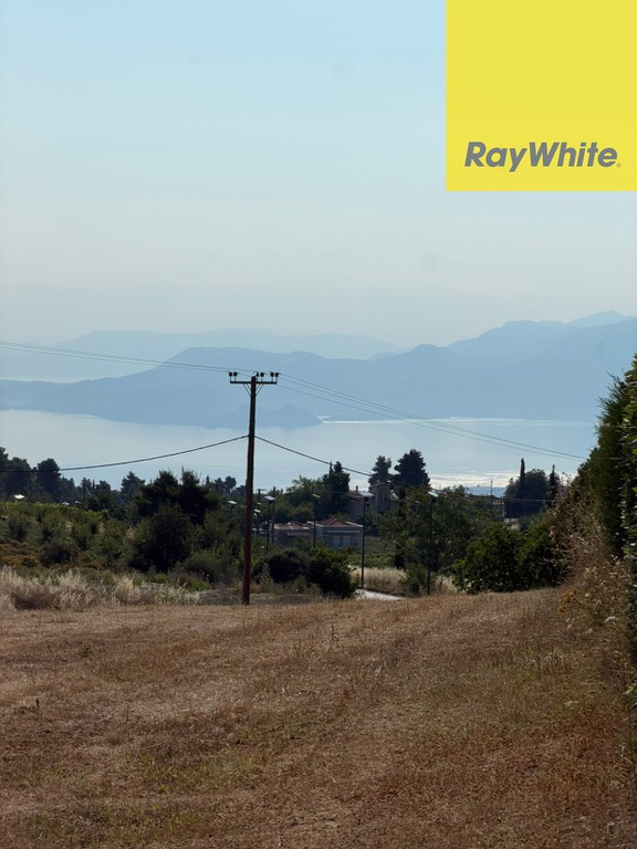 Οικόπεδο 1.145 τ.μ. προς πώληση, Σούλι Σικυώνας