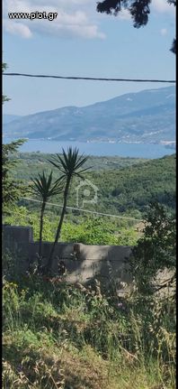 Οικόπεδο 340 τ.μ. για πώληση, Μαγνησία, Αργαλαστή