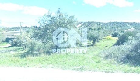 Οικόπεδο 436 τ.μ. προς πώληση