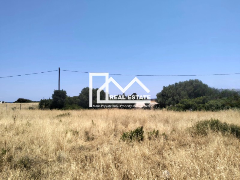 Αγροτεμάχια 4.000 τ.μ. πρός πώληση, Δωδεκάνησα, Ρόδος