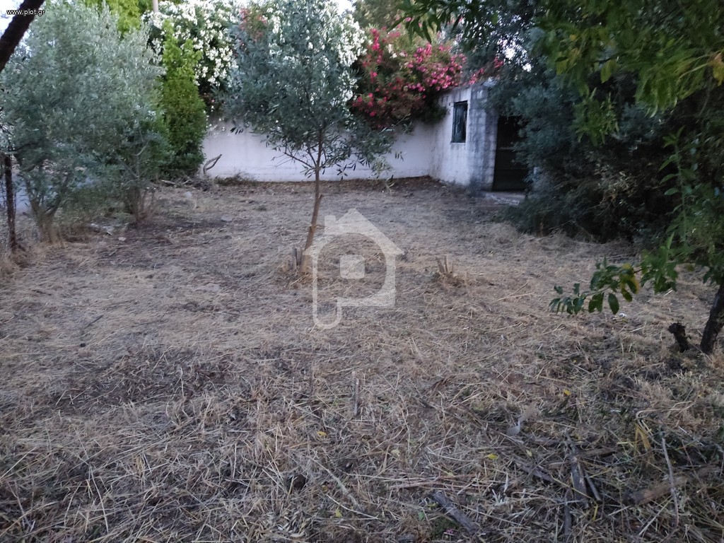 Αγροτεμάχια 239 τ.μ. προς πώληση, Πλάκα Δήλεσι