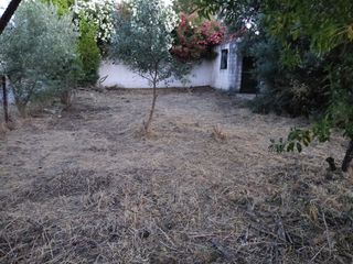 Αγροτεμάχια 239 τ.μ. για πώληση
