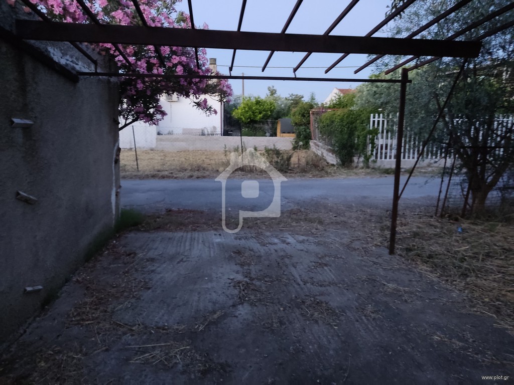 Αγροτεμάχια 239 τ.μ. προς πώληση, Πλάκα Δήλεσι