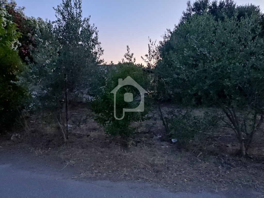 Αγροτεμάχια 239 τ.μ. προς πώληση, Πλάκα Δήλεσι