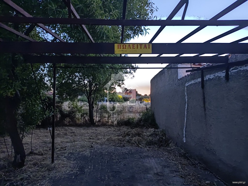Αγροτεμάχια 239 τ.μ. προς πώληση, Πλάκα Δήλεσι
