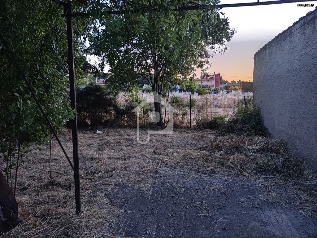 Αγροτεμάχια 239 τ.μ. προς πώληση, Πλάκα Δήλεσι