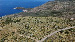 Οικόπεδο 68.659 τ.μ. για πώληση, Μεσσηνία, Λεύκτρος-thumb-5