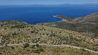 Οικόπεδο 68.659 τ.μ. για πώληση, Μεσσηνία, Λεύκτρος-thumb-4