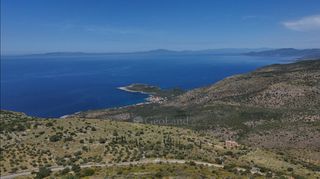 Οικόπεδο 68.659 τ.μ. για πώληση, Μεσσηνία, Λεύκτρος-thumb-13