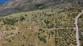 Οικόπεδο 68.659 τ.μ. για πώληση, Μεσσηνία, Λεύκτρος-thumb-7