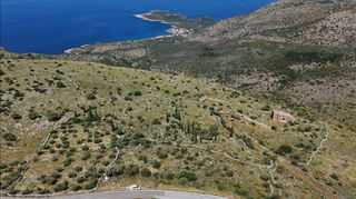 Οικόπεδο 68.659 τ.μ. για πώληση, Μεσσηνία, Λεύκτρος-thumb-15