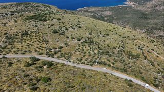 Οικόπεδο 68.659 τ.μ. για πώληση, Μεσσηνία, Λεύκτρος-thumb-3