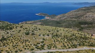 Οικόπεδο 68.659 τ.μ. για πώληση, Μεσσηνία, Λεύκτρος-thumb-14