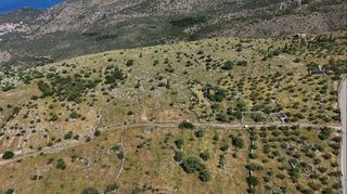 Οικόπεδο 68.659 τ.μ. για πώληση, Μεσσηνία, Λεύκτρος-thumb-6