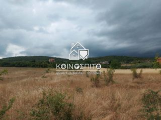 Αγροτεμάχια 5.138 τ.μ. για πώληση