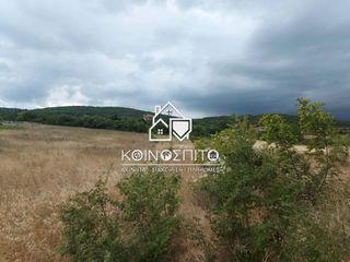 Αγροτεμάχια 5.138 τ.μ. προς πώληση, Πατρίδα-thumb-3