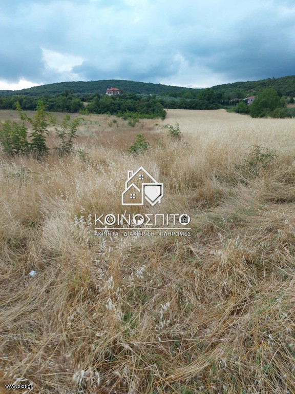 Αγροτεμάχια 5.138 τ.μ. προς πώληση, Πατρίδα