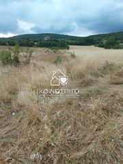 Αγροτεμάχια 5.138 τ.μ. προς πώληση, Πατρίδα-thumb-4