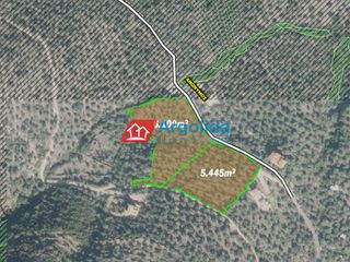 Αγροτεμάχια 6.100 τ.μ. για πώληση, Αρκαδία, Απόλλωνας-thumb-3
