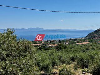 Αγροτεμάχια 6.100 τ.μ. για πώληση