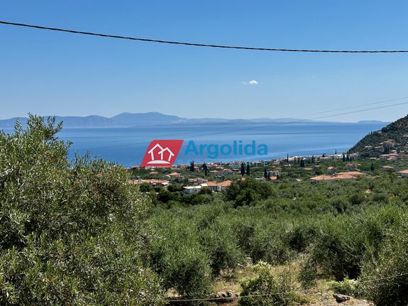 Αγροτεμάχια 6.100 τ.μ. για πώληση, Αρκαδία, Απόλλωνας