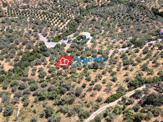 Αγροτεμάχια 6.100 τ.μ. για πώληση, Αρκαδία, Απόλλωνας-thumb-9