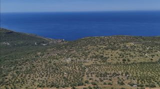 Αγροτεμάχια 32.000 τ.μ. για πώληση