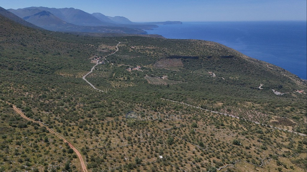 Αγροτεμάχια 32.000 τ.μ. προς πώληση, Άγιος Νίκωνας