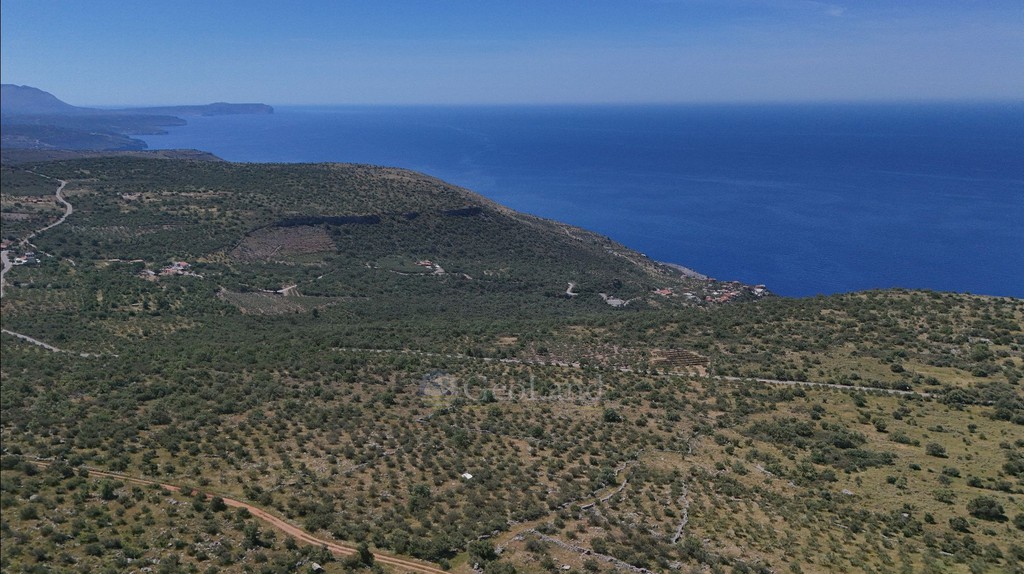 Αγροτεμάχια 32.000 τ.μ. προς πώληση, Άγιος Νίκωνας
