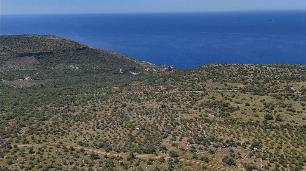 Αγροτεμάχια 32.000 τ.μ. προς πώληση, Άγιος Νίκωνας