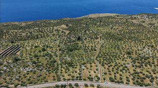 Αγροτεμάχια 2.417 τ.μ. για πώληση