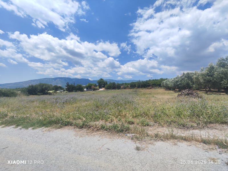 Οικόπεδο 423 τ.μ. πρός πώληση, Ν. Καβάλας, Ορφανό