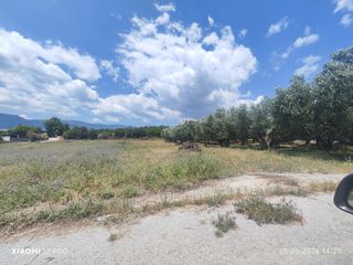 Οικόπεδο 423 τ.μ. πρός πώληση, Ν. Καβάλας, Ορφανό-thumb-2