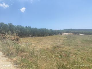 Οικόπεδο 423 τ.μ. πρός πώληση, Ν. Καβάλας, Ορφανό-thumb-9