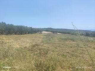 Οικόπεδο 423 τ.μ. πρός πώληση, Ν. Καβάλας, Ορφανό-thumb-13