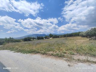 Οικόπεδο 423 τ.μ. πρός πώληση, Ν. Καβάλας, Ορφανό-thumb-3