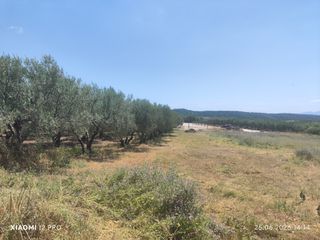 Οικόπεδο 423 τ.μ. πρός πώληση, Ν. Καβάλας, Ορφανό-thumb-12