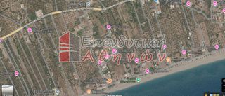 Αγροτεμάχια 5.560 τ.μ. για πώληση