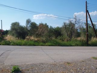 Οικόπεδο 6.400 τ.μ. για πώληση