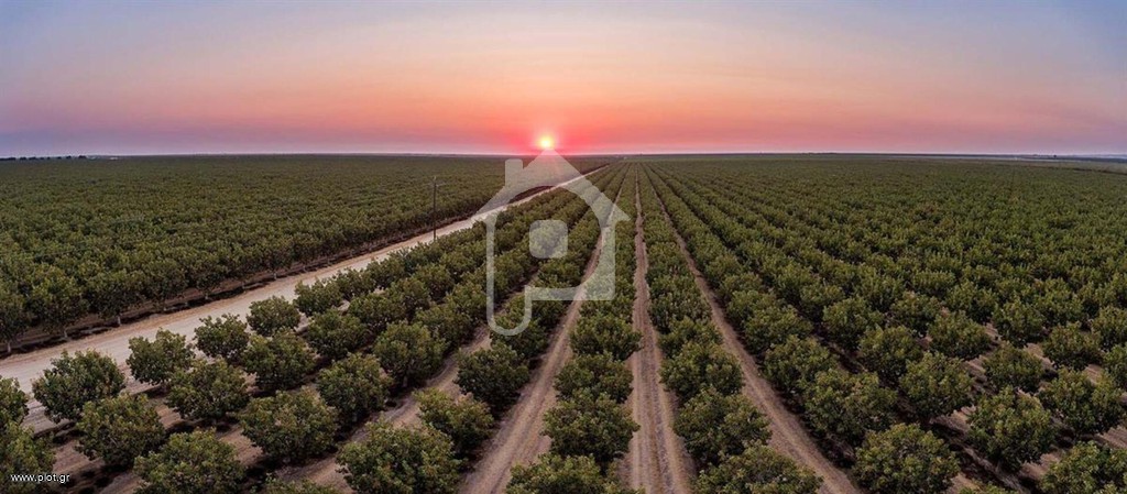 Αγροτεμάχια 100.000 τ.μ. πρός πώληση, Ν. Λάρισας, Αρμένιο