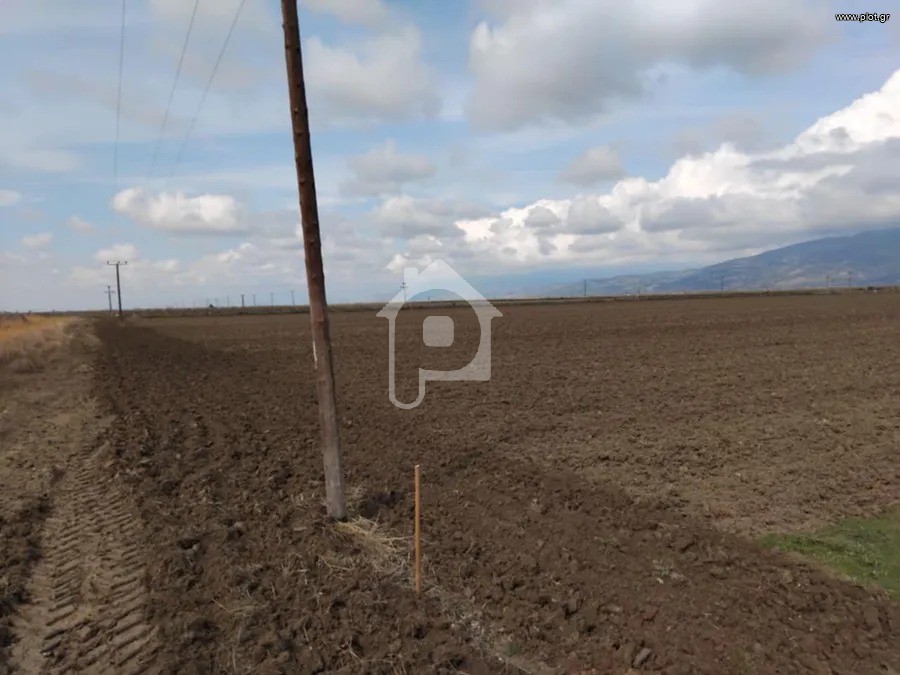 Αγροτεμάχια 100.000 τ.μ. πρός πώληση, Ν. Λάρισας, Αρμένιο