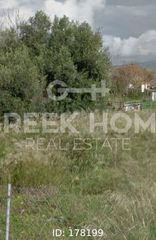 Οικόπεδο 347 τ.μ. για ενοικίαση
