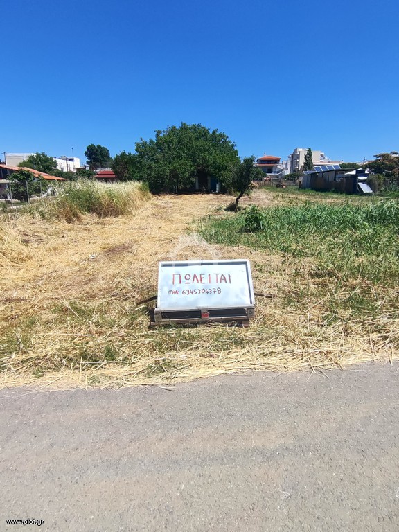 Αγροτεμάχια 423 τ.μ. πρός πώληση, Εβρος, Αλεξανδρούπολη