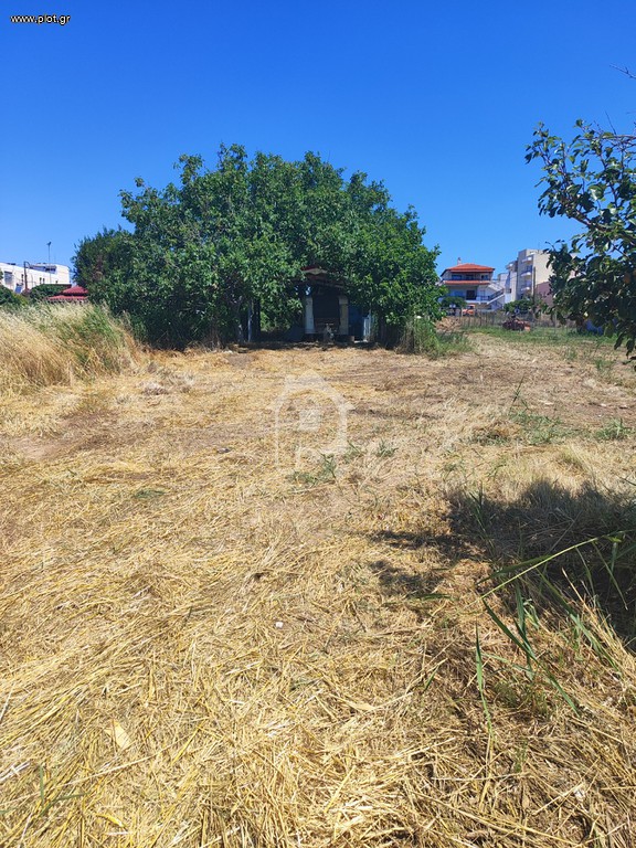 Αγροτεμάχια 423 τ.μ. πρός πώληση, Εβρος, Αλεξανδρούπολη