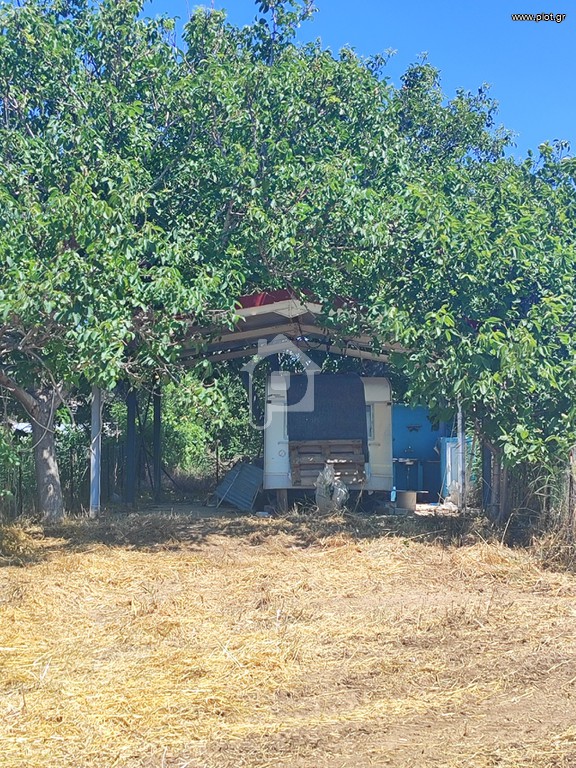 Αγροτεμάχια 423 τ.μ. πρός πώληση, Εβρος, Αλεξανδρούπολη