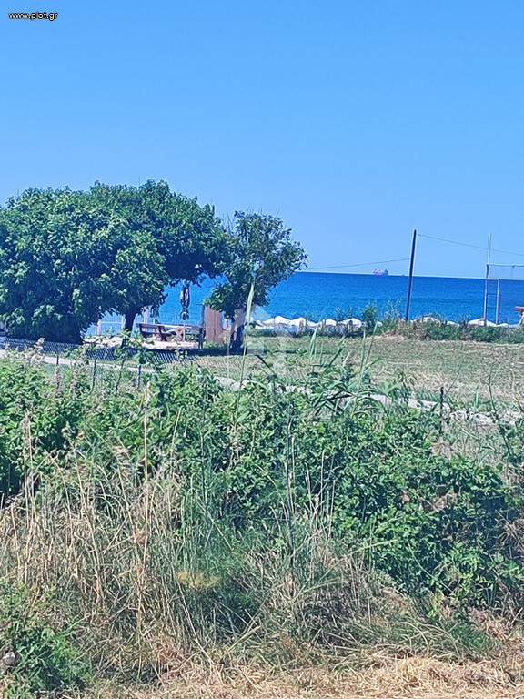 Αγροτεμάχια 423 τ.μ. πρός πώληση, Εβρος, Αλεξανδρούπολη
