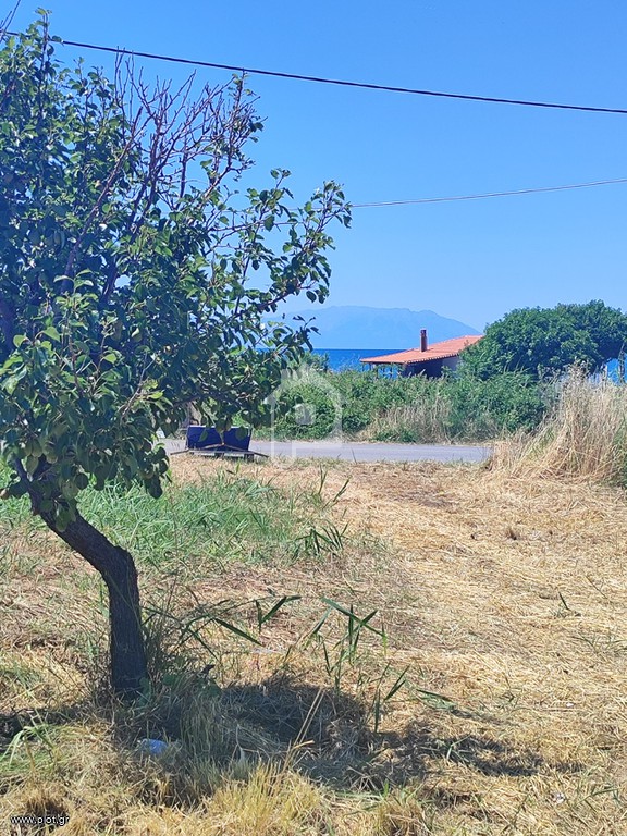 Αγροτεμάχια 423 τ.μ. πρός πώληση, Εβρος, Αλεξανδρούπολη