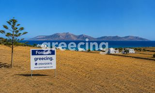 Οικόπεδο 12.000 τ.μ. για πώληση